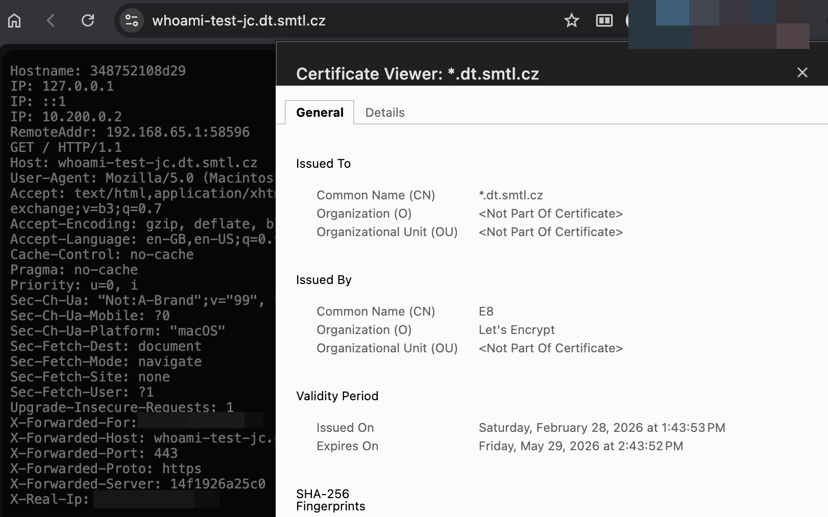 whoami page through sish tunnel